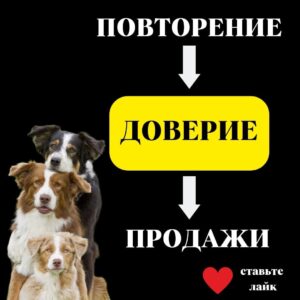 рассылку рекламных листовок