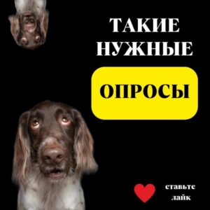 ТАКИЕ НУЖНЫЕ ОПРОСЫ