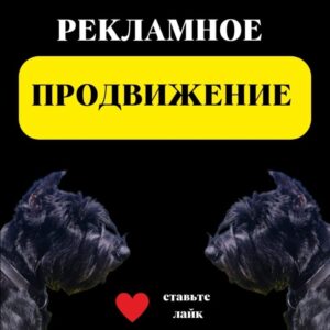 реклама в оренбурге