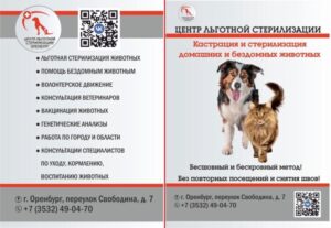 дизайнеру