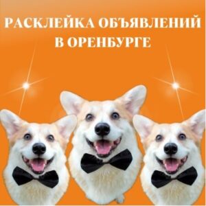 Расклейка объявлений
