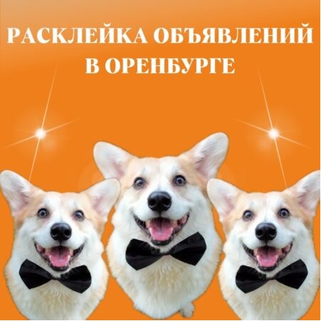 Расклейка объявлений
